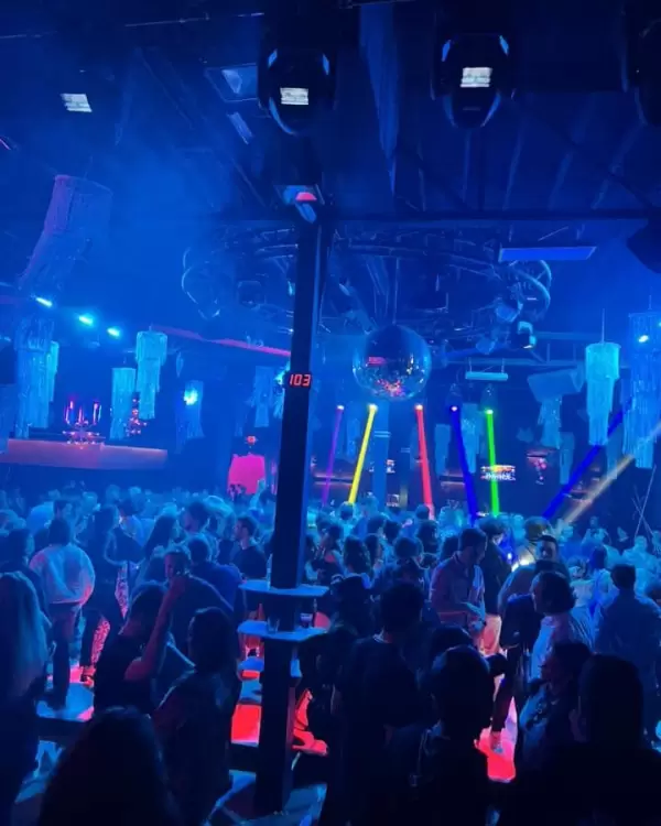 Boogie Fever Detroit