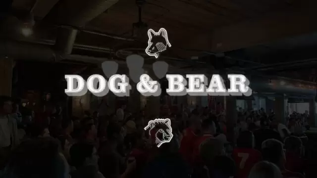 Dog and Bear