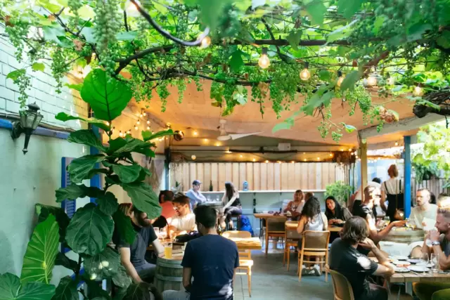 Paradise Grapevine