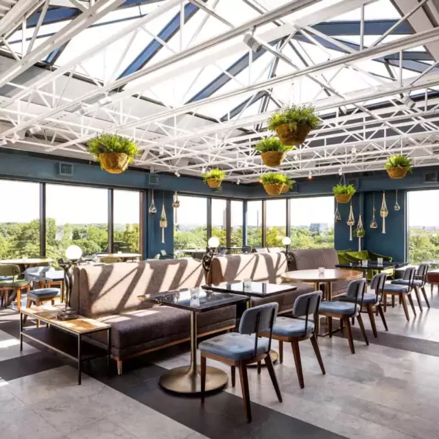 The Rooftop