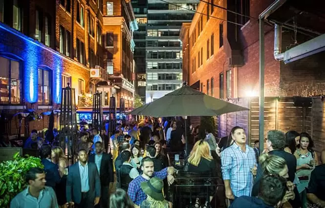 Brassaii Toronto