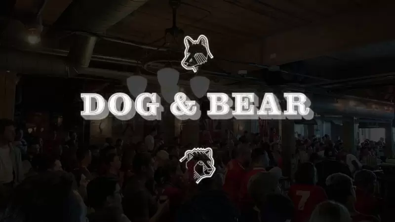 Dog and Bear Toronto