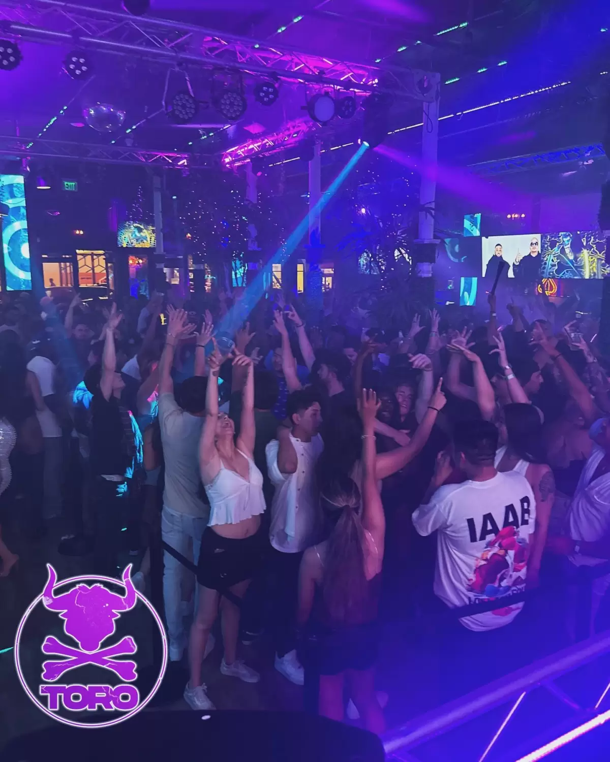 TORO San Diego